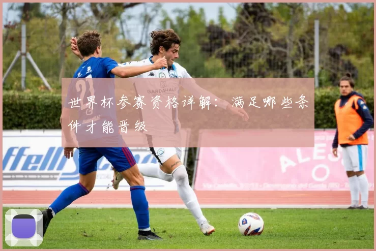 世界杯参赛资格详解:满足哪些条件才能晋级