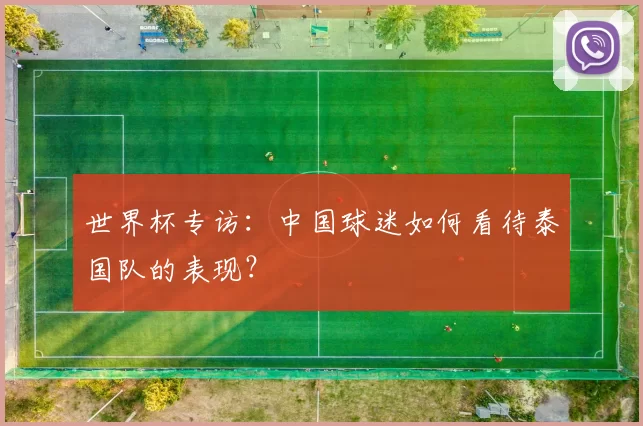 世界杯专访:中国球迷如何看待泰国队的表现?