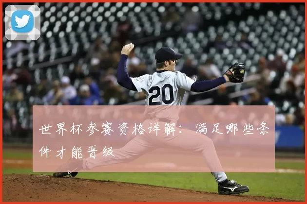 世界杯参赛资格详解:满足哪些条件才能晋级