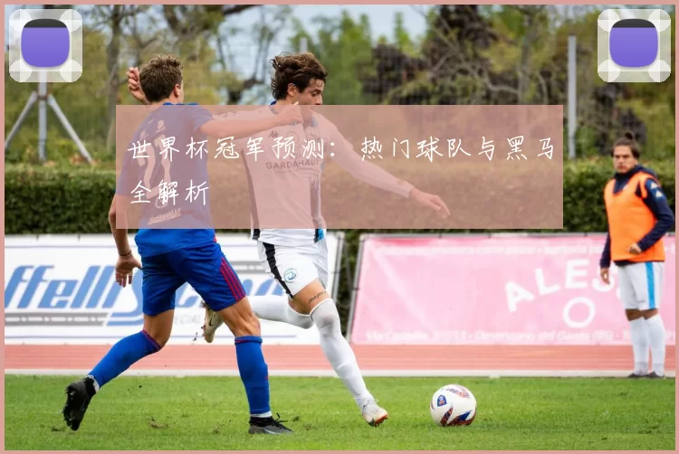 世界杯冠军预测:热门球队与黑马全解析