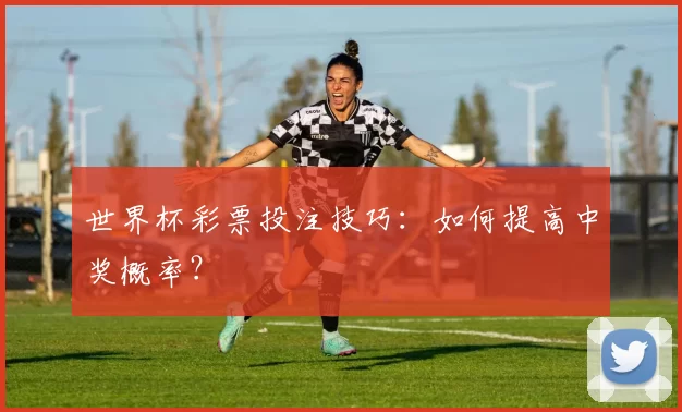世界杯彩票投注技巧：如何提高中奖概率？