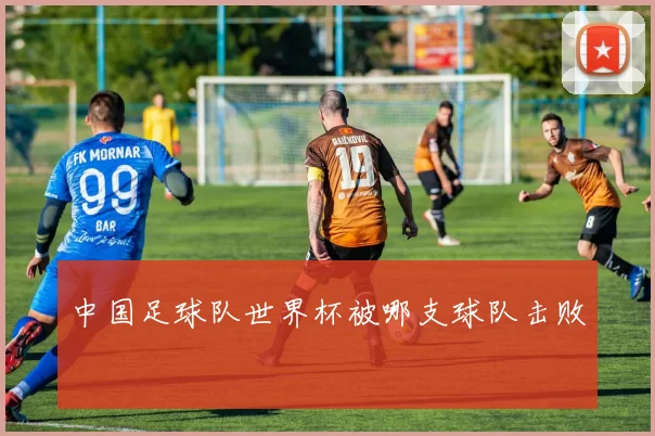 中国足球队世界杯被哪支球队击败