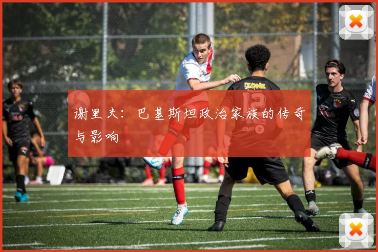 谢里夫:巴基斯坦政治家族的传奇与影响
