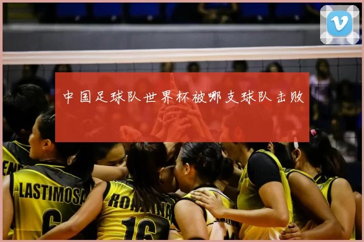 中国足球队世界杯被哪支球队击败