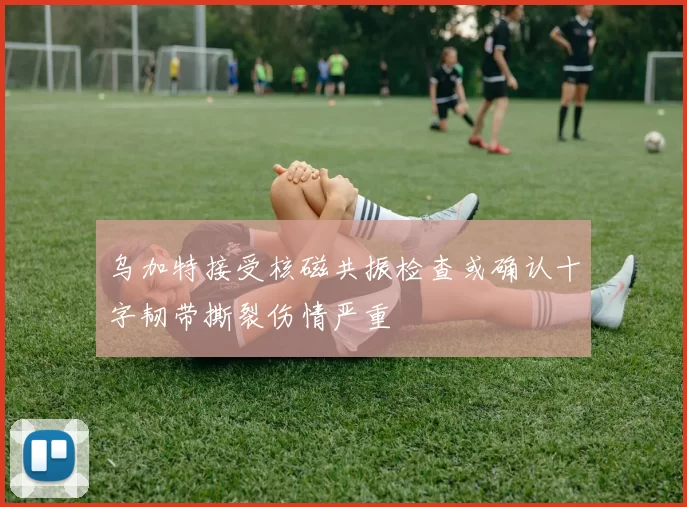 乌加特接受核磁共振检查或确认十字韧带撕裂伤情严重