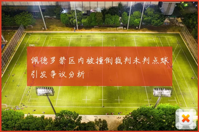 佩德罗禁区内被撞倒裁判未判点球引发争议分析