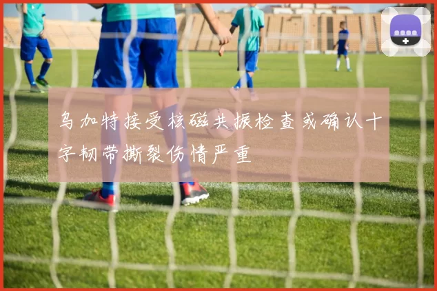 乌加特接受核磁共振检查或确认十字韧带撕裂伤情严重