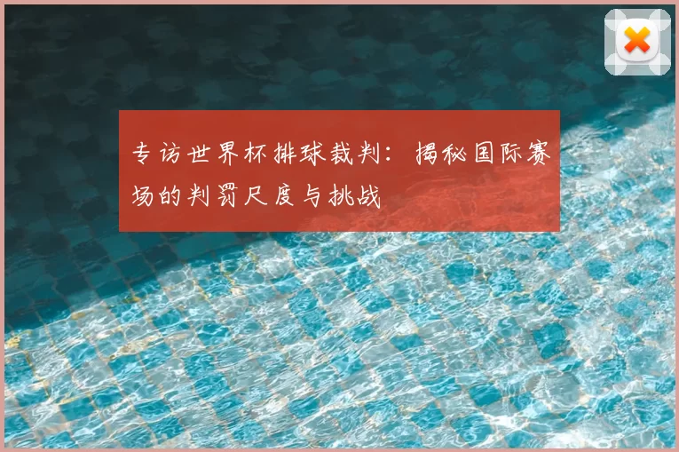 专访世界杯排球裁判:揭秘国际赛场的判罚尺度与挑战