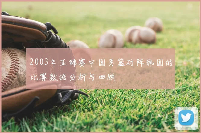 2003年亚锦赛中国男篮对阵韩国的比赛数据分析与回顾