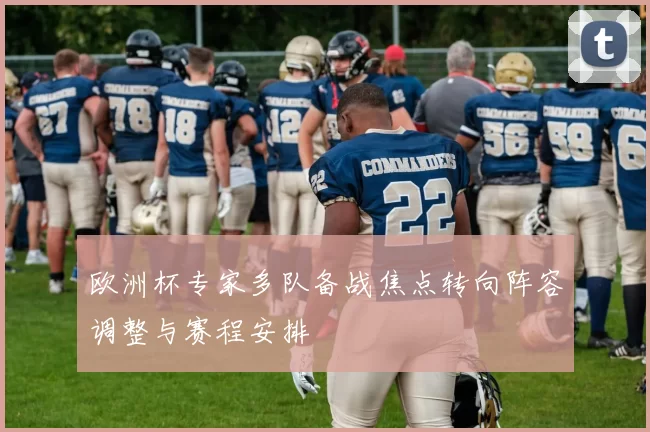 欧洲杯专家多队备战焦点转向阵容调整与赛程安排