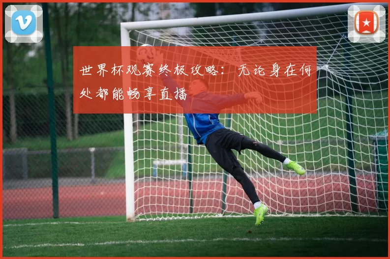 世界杯观赛终极攻略:无论身在何处都能畅享直播