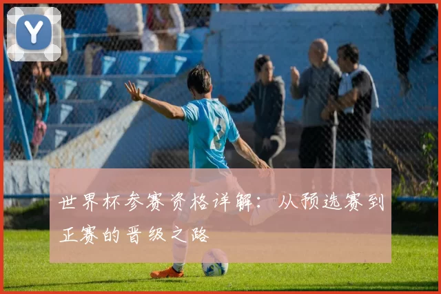 世界杯参赛资格详解:从预选赛到正赛的晋级之路