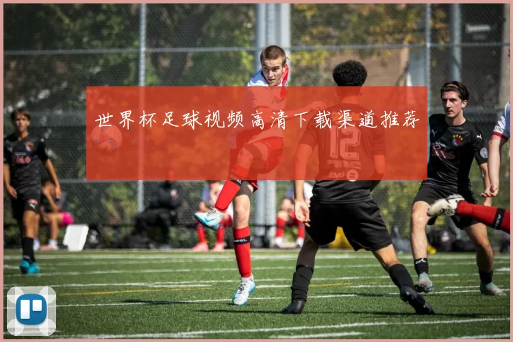 世界杯足球视频高清下载渠道推荐