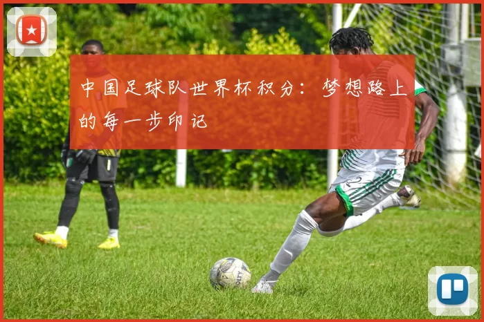 中国足球队世界杯积分:梦想路上的每一步印记
